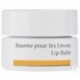 BAUME POUR LES LEVRES