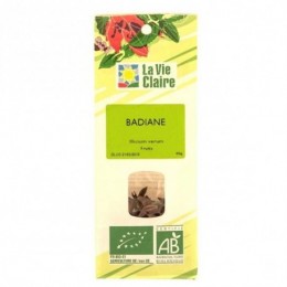 BADIANE FRUITS SAC 40 G