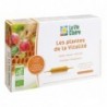 EXTRAIT FLUIDE VITALITE