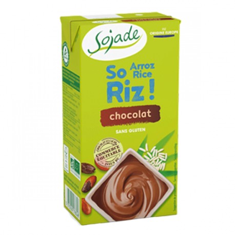 DELICE DE RIZ CHOCOLAT TETRA