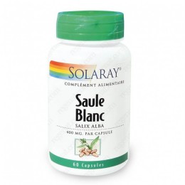 SAULE BLANC