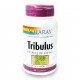 TRIBULUS