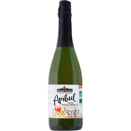 APIBUL POMME GINGEMBRE