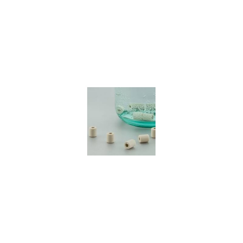 Kit de Purification d'Eau : Carafe en verre + Perles de Céramique x15