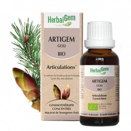 ARTIGEM 15ML