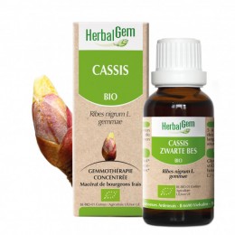 CASSIS 50ML