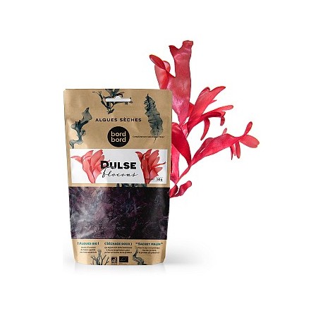 DULSE PAILETTES