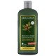 SHAMPOOING RESTRUC ARGAN 250ML