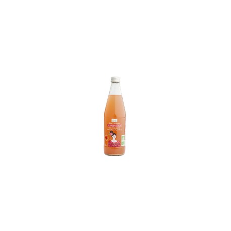 KOMBUCHA FRAMBOISE LITCHI 50CL