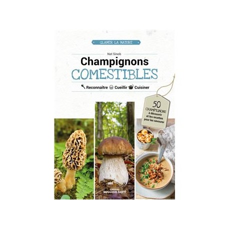 CHAMPIGNONS COMESTIBLES