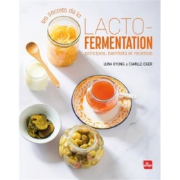 LACTO FERMENTATION PRINCIPES BIENFAITS E