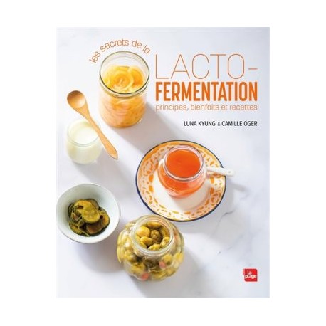 LACTO FERMENTATION PRINCIPES BIENFAITS E