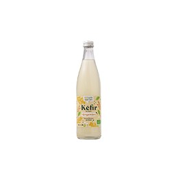 KEFIR DE FRUITS GINGEMBRE