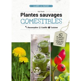 PLANTES SAUVAGES COMESTIBLES