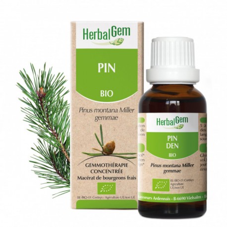 HERBALGEM PIN 15 ML