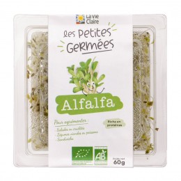 GRAINES GERMEES ALFALFA 60G