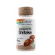 SHIITAKE 500 mg