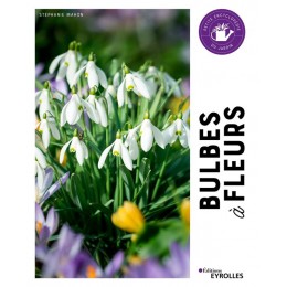 BULBE A FLEURS