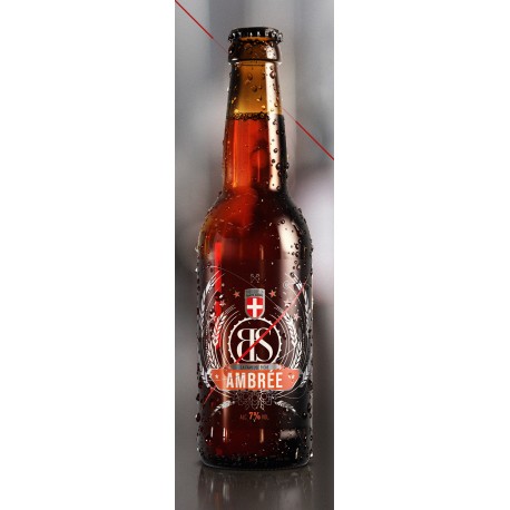 BIERE BS AMBREE BIO 33CL