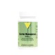 SUPER BERBERINE 300MG