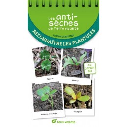 ANTI SECHES RECONNAITRE LES PLANTULES