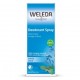 DEODORANT SAUGE SPRAY 100ML