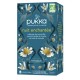 INFUSION NUIT ENCHANTEE