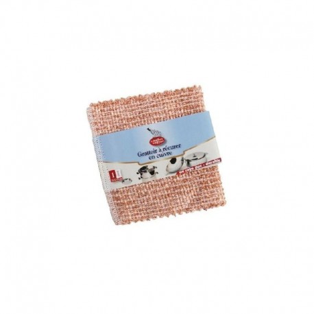 GRATTOIR A RECURER X 1