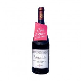 VENTOUX LES CAMPAGNOLES 2023