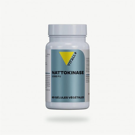 NATTOKINASE 100MG 60 GEL