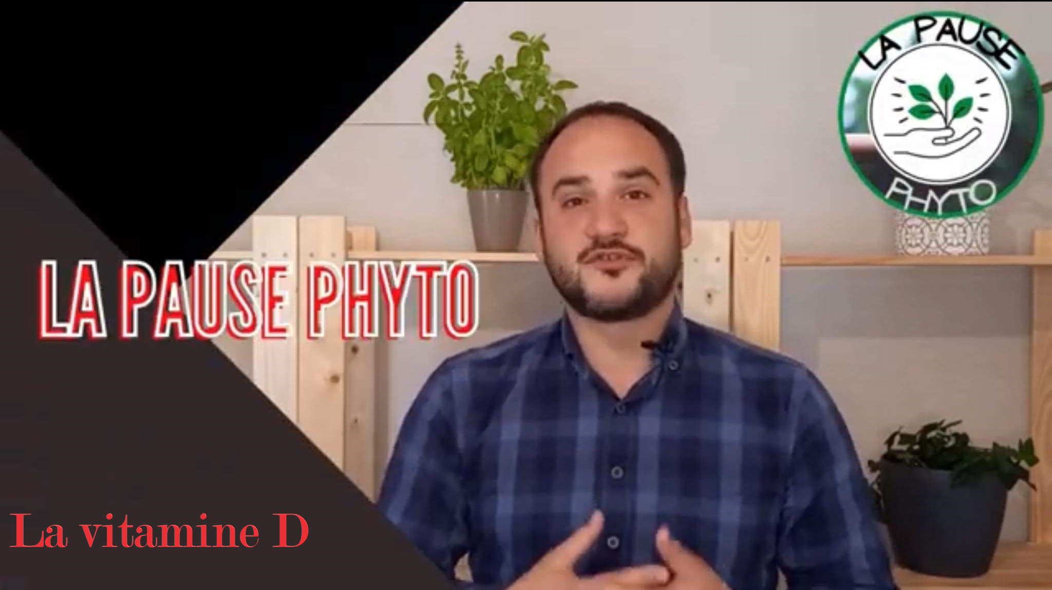 La Pause Phyto "La vitamine D"